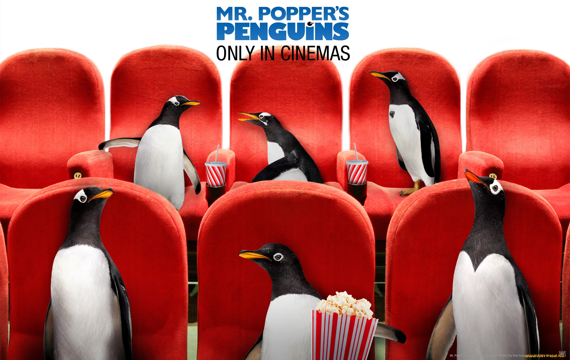 mr, poppers, penguins, , , popper`s, , , 